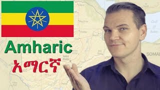 Understanding the Nature of Amharic